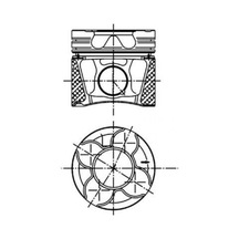 Piston Segman