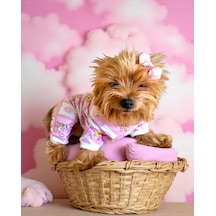 Teddy Toad Penye Köpek Tulum Pijama