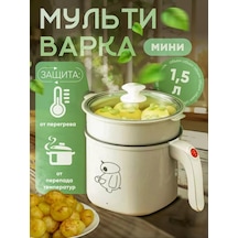 Mini Çok Fonksiyonlu Elektrikli Pişirici 248271069