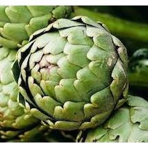 50 Adet Tohum Organik Köy Tohumu Enginar Tohumu Yeni Hasat