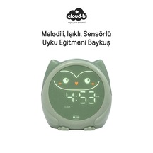 Haki Yeşil