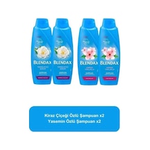 Blendax Kiraz Çiçeği Özlü Şampuan 2 x 500 ML + Yasemin Özlü Şampuan 2 x 500 ML