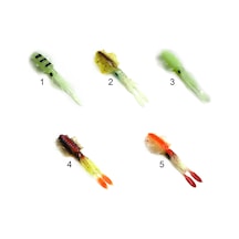 Captain 3541 Sipya Squid 7cm Sübye Suni Yem