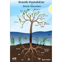 Kronik Hastalıklar ve Deniz Yosunları - İlyas Ceylan - Akıl Fikir Yayınları