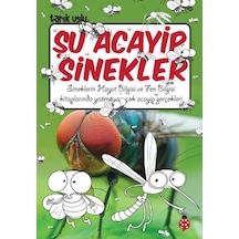 Şu Acayip Sinekler - Yqbx-643197