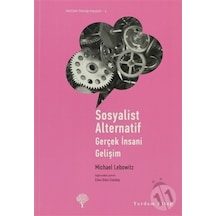 Sosyalist Alternatif