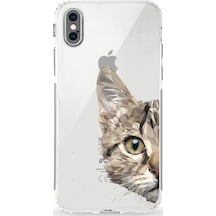 Apple Uyumlu iPhone X Kamera Korumalı Kapak Catface Tasarımlı Silikon Şeffaf Kılıf Şeffaf