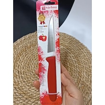 Çok Renkli