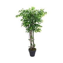Yapay Ficus Benjamin Ağacı 170 Cm