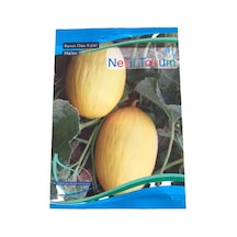 Kavun Sarı Kışlık Atalık Tohum 3 Paket