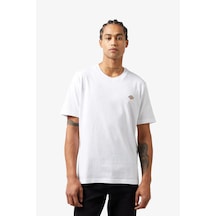Dickies Mapleton Ss Erkek Beyaz T-shirt Dk0a4xdbwhx1 Beyaz