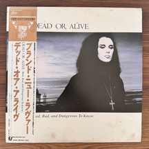 Dead Or Alive Mad, Bad And Dangerous To Know