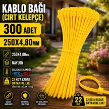 250x4,80mm