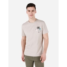 Taş