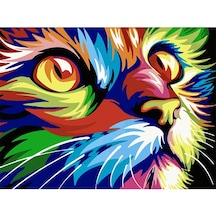 Renkli Kedi Sayılarla Boyama Seti 50X65 Cm (Tuvale Gerili)