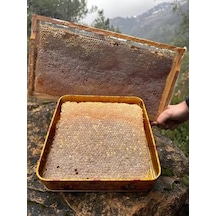 Bitlis Hizan Doğal Yayla Petek Balı Polifloralı Çok Çiçekli Bal Ta14 1050 G