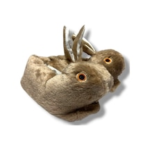 Vizon