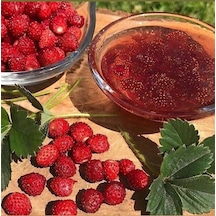 Bizim Yöresel Dağ Çileği Reçeli 390 G