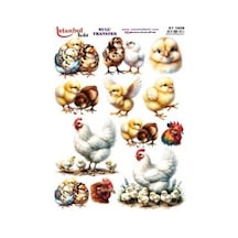 Sulu Transfer Kağıdı 25x35cm St-1629