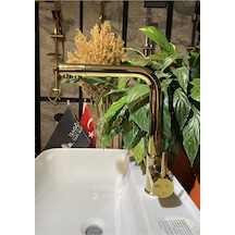 İsaoğlu Yapı Gold Arıtmalı Evye Bataryası Arıtmalı Mutfak Musluğu Arıtıcılı Musluk Gold Batarya Gold