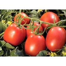 Domates Coşturan Gübre 20 Kg 1 kg