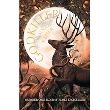Godkiller The Fallen Gods 1