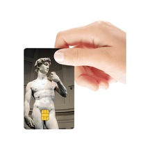 Davut Michelangelo Temalı Parlak Kredi/banka Kart Kaplama Sticker Standart