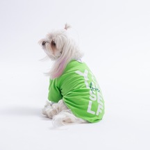 Green-yeşil Yourself Love Sweat Kedi Köpek Sweati - Kedi Köpek Kıyafeti