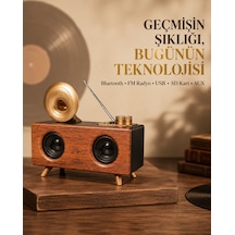 Çift Hoparlörlü Retro Bluetooth Speaker 1800mah Bataryalı Aux Usb Sd Kartlı - Lisinya