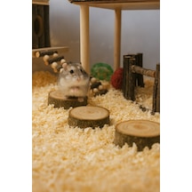 Doğal Ahşap Hamster Platformu 3 Adet, 3 Cm Yükseklik, 5 Cm Çap, Dayanıklı Ve Güvenli