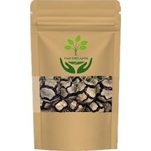 Servi Kozalağı Cupressus Sempervirens 25gr