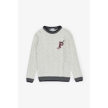 U.S. Polo Assn. Erkek Çocuk Krem Kazak /triko 50315587-vr071