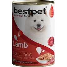 Bestpet Jöle İçinde Parça Kuzu Etli Konserve Yetişkin Köpek Maması 400 Gr