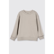 Panço Erkek Bebek Kol Üstü Şerit Detaylı Taş Sweatshirt Gri