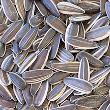 Dakota Çekirdek Çiğ 500  G