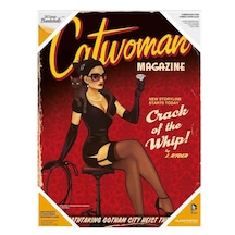 Dc Bombshells Catwoman Glass Poster