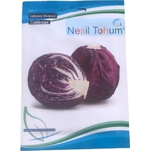 Kırmızı Lahana Atalık Tohumu 3 Paket