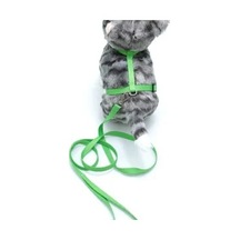 Kedi Düz Göğüs Tasması Ve Gezdirme Seti Ps9643 Çok Renkli