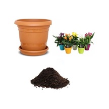 Ithal Karışık Calla Lily Tohumu Ekim Seti