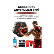 Akıllı Duvar Boks Hedefi: Bluetooth Müzikli, Işıklı Refleks Ve Atma
