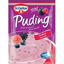 Dr Oetker Orman Meyveli Puding 81 Gr.