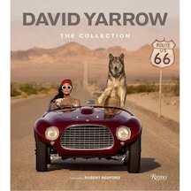 Rizzoli David Yarrow The Collection 9780847875528