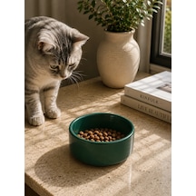 Kase Model Beton Kedi Köpek Mama Ve Su Kabı 15cm Çap 5cm - Yeşil
