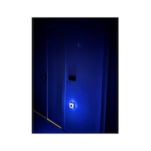 Ct 9500 Fotosel Gece Lambası Mavi Renk