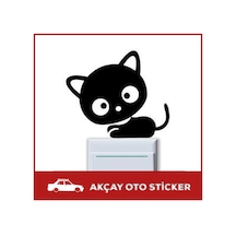 Kedi Sticker Cat Sticker Kedi Duvar Sticker Oto Sticker