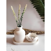 Bernami Biblo Pinterest Vazo Seti Pampas Vazo Lotus Mumluk Dekoratif Tabak Biblo Seti 3 Parça Ham-boyasız.