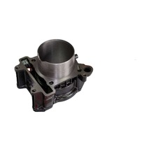 Pıaggio Beverly 350-x10 350 Silindir Boş Vsp046e