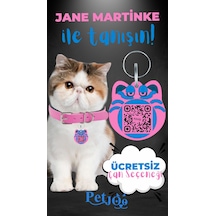 Petjoo 5.Jane Martinke Mavi-Pembe Qr'lı Kedi Künyesi