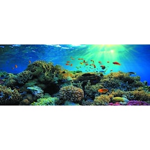 Kanki Pet 155 cm KP1556521 Akvaryum Arka Fon Yapıştırma 155x65 cm