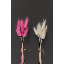 Beyaz-pembe